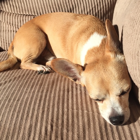 Meet your Posher, Jenn - Picture 1 of 1